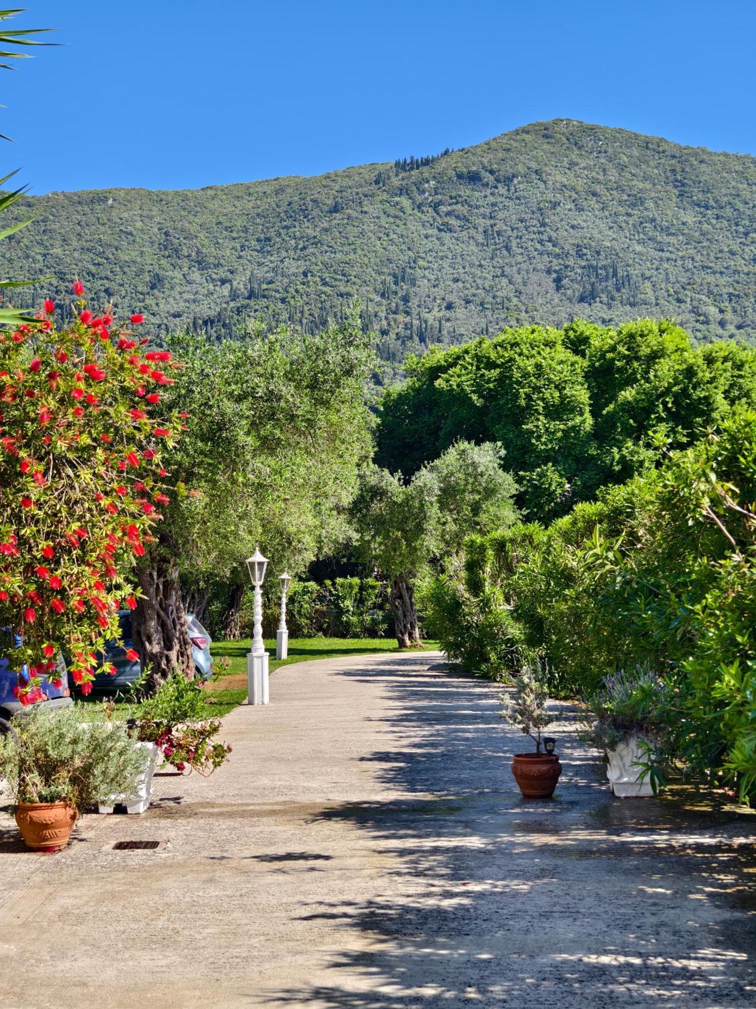 Valentino Corfu 3* Ýpsos